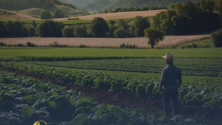 O papel do engenheiro agrônomo na garantia da sustentabilidade agrícola